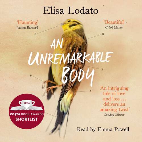 Book cover of An Unremarkable Body: Shortlisted for the Costa First Novel Award 2018