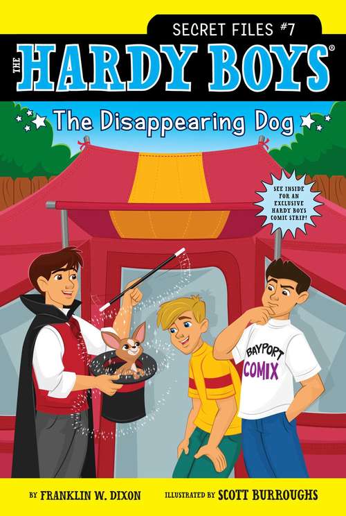 Book cover of The Disappearing Dog