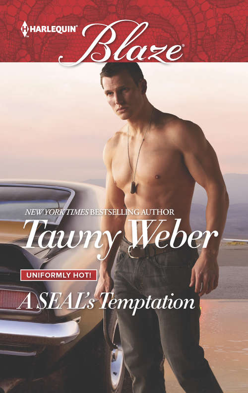 Book cover of A SEAL's Temptation