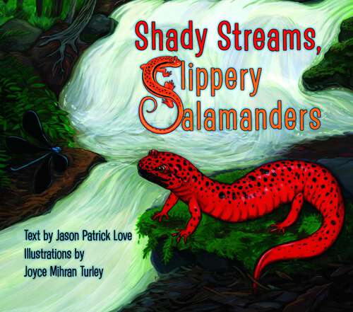 Book cover of Shady Streams, Slippery Salamanders (Illustrated edition)