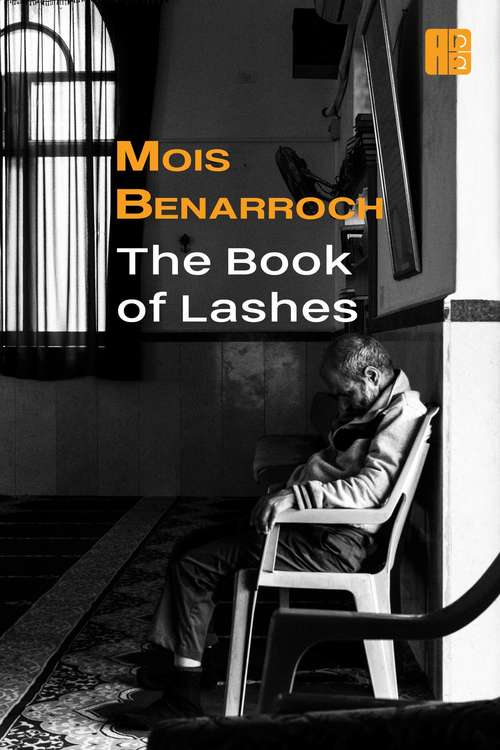 Book cover of The Book of Lashes