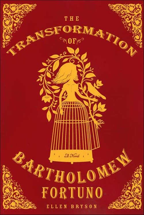 Book cover of The Transformation of Bartholomew Fortuno: A Novel