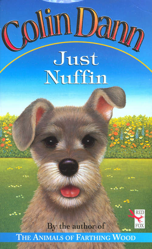 Book cover of Just Nuffin