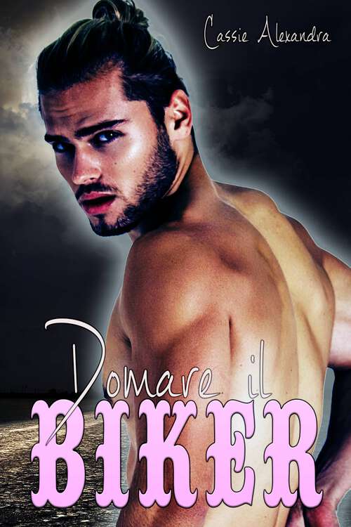Book cover of Domare il Biker