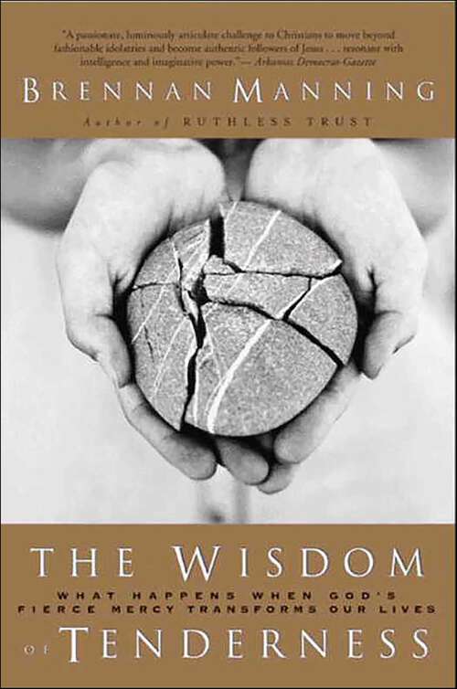 Book cover of The Wisdom of Tenderness