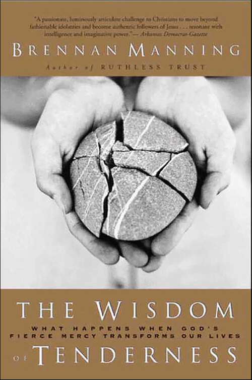 Book cover of The Wisdom of Tenderness: What Happens When God's Firece Mercy Transforms Our Lies
