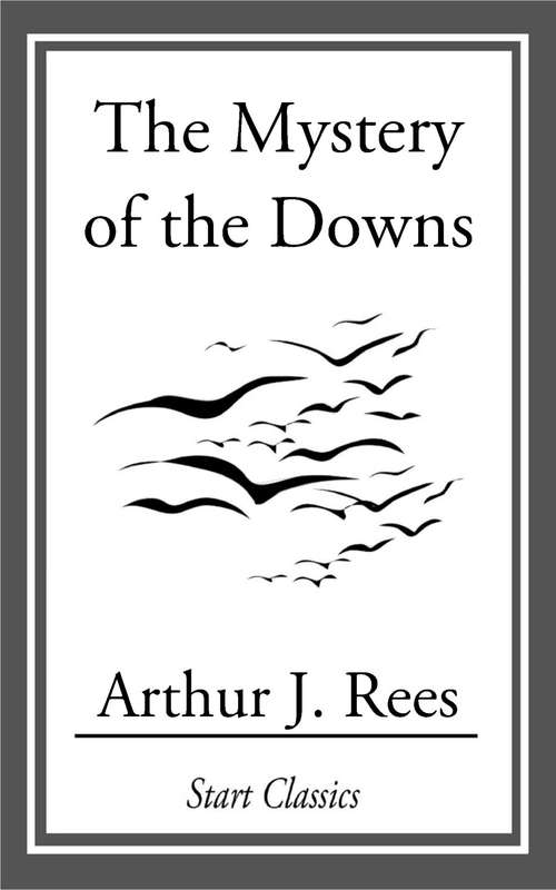 Book cover of The Mystery of the Downs