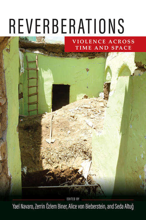 Reverberations: Violence Across Time and Space (The Ethnography of Political Violence)