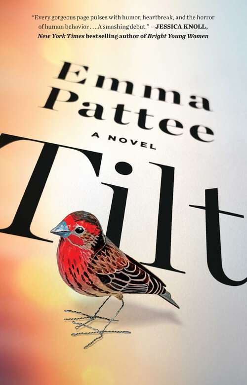 Book cover of Tilt: A Novel