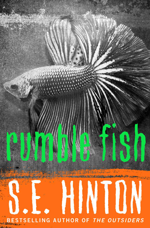 Book cover of Rumble Fish (Lions Ser.)