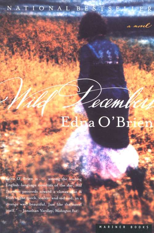 Book cover of Wild Decembers