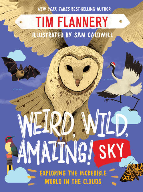 Book cover of Weird, Wild, Amazing! Sky: Exploring the Incredible World in the Clouds