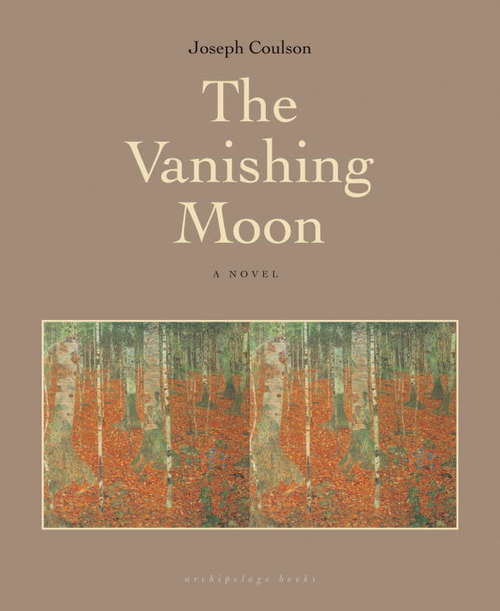 Book cover of The Vanishing Moon