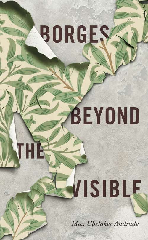 Book cover of Borges Beyond the Visible