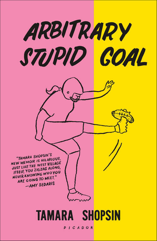 Book cover of Arbitrary Stupid Goal