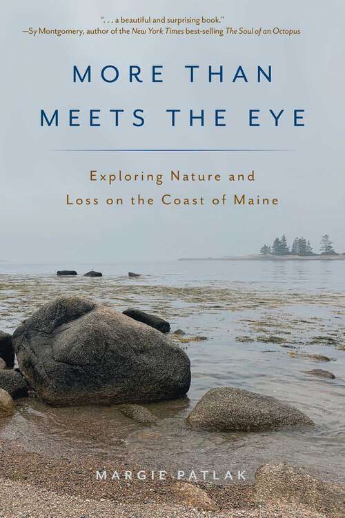 Book cover of More Than Meets the Eye: Exploring Nature and Loss on the Coast of Maine
