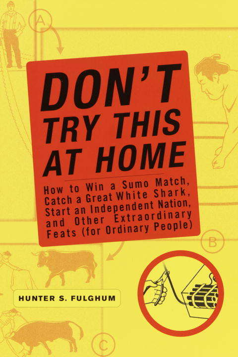 Book cover of Don't Try This At Home
