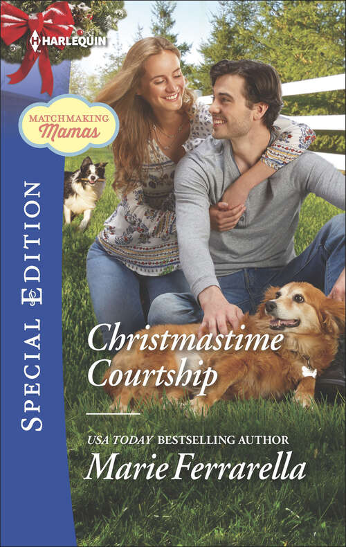Book cover of Christmastime Courtship (Matchmaking Mamas #24)