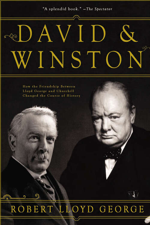 Book cover of David & Winston: How a Friendship Changed History