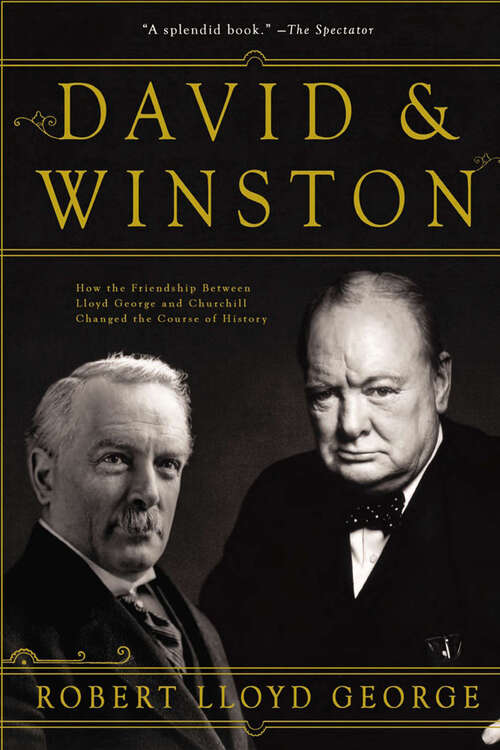 Book cover of David & Winston: How the Friendship Between Lloyd George and Churchill Changed the Course of History