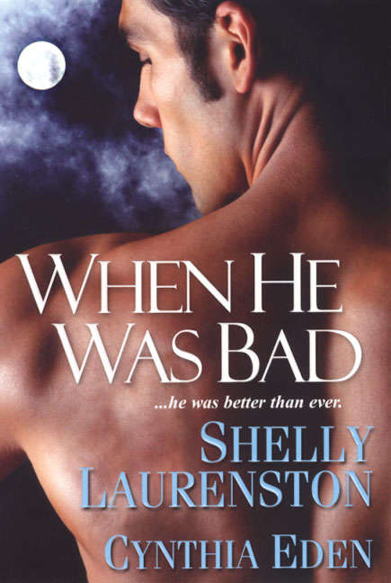 Book cover of When He Was Bad