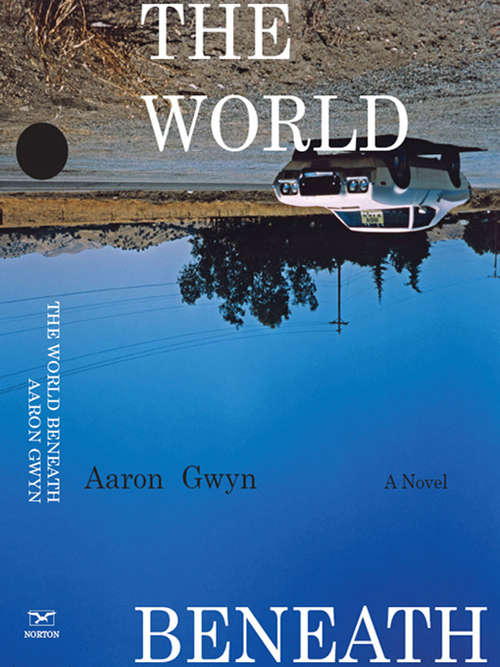 Book cover of The World Beneath: A Novel