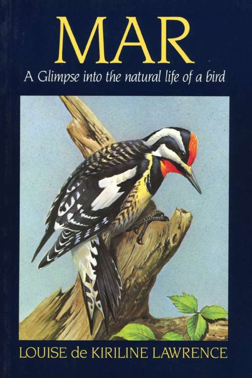 Book cover of Mar: A Glimpse into the Natural Life of a Bird