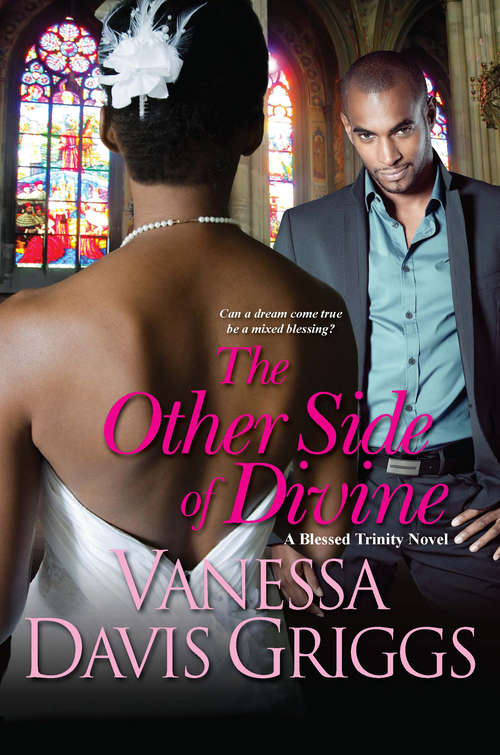 Book cover of The Other Side of Divine