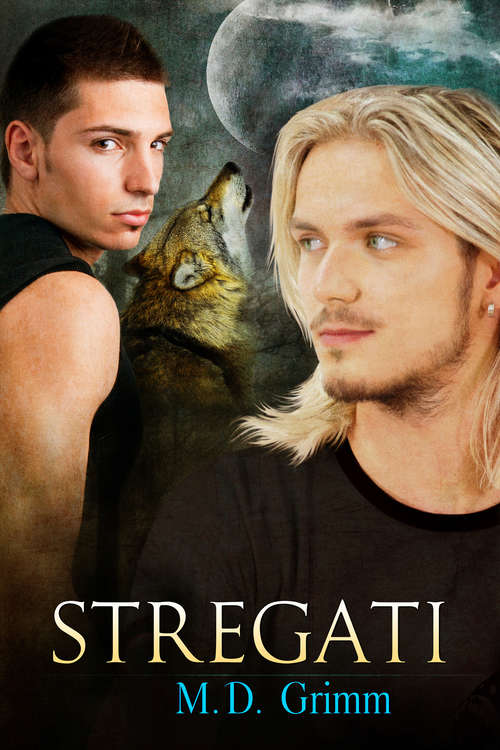 Book cover of Stregati (I Mutaforma #1)