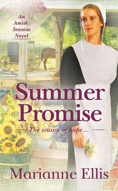 Book cover of Summer Promise (Amish Seasons #1)
