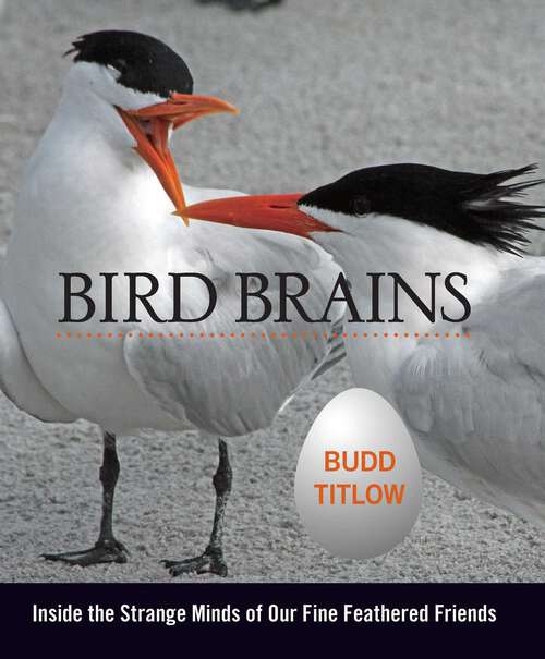 Book cover of Bird Brains: Inside the Strange Minds of Our Fine Feathered Friends (1st Edition)