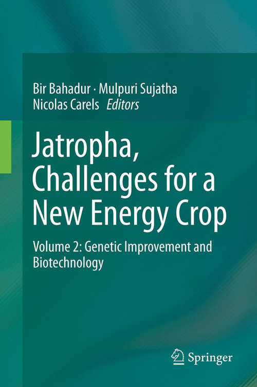 Book cover of Jatropha, Challenges for a New Energy Crop