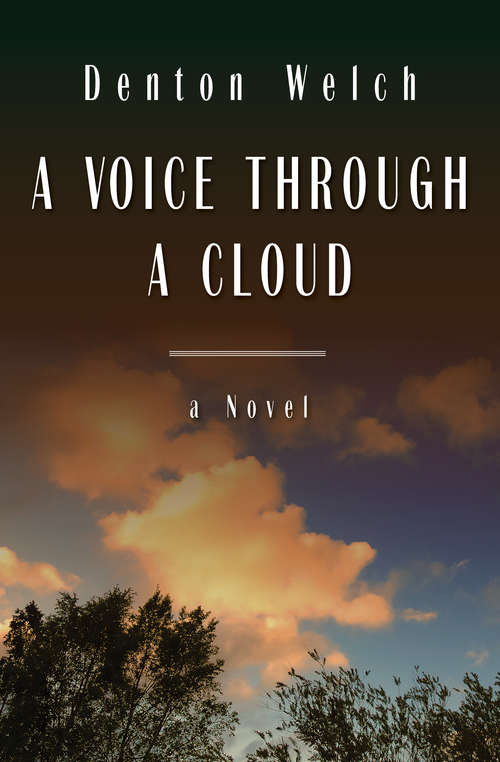 Book cover of A Voice Through a Cloud: A Novel (Galley Beggar Digital Classics Ser.)