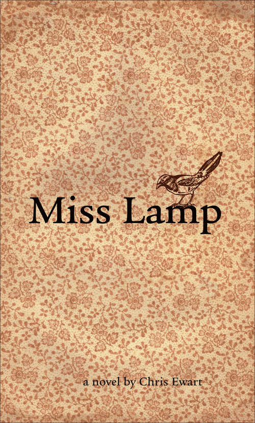Book cover of Miss Lamp