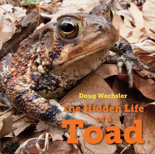 Book cover of The Hidden Life Of The Toad