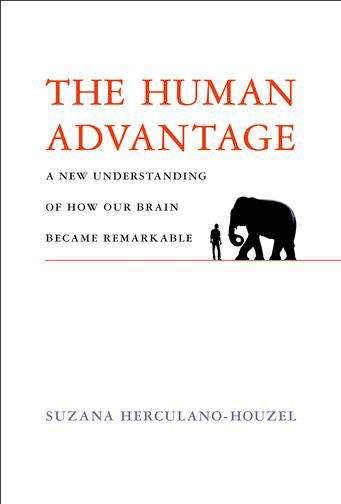 Book cover of The Human Advantage: A New Understanding of How Our Brain Became Remarkable