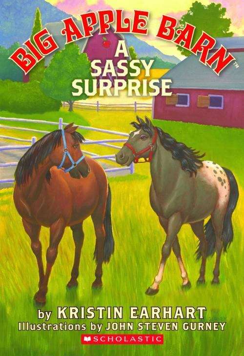 Book cover of A Sassy Surprise (Big Apple Barn #3)