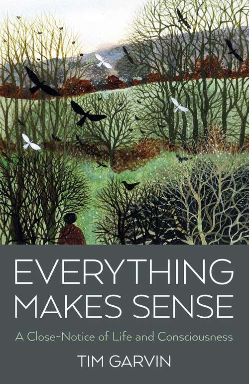 Book cover of Everything Makes Sense: A Close-Notice of Life and Consciousness