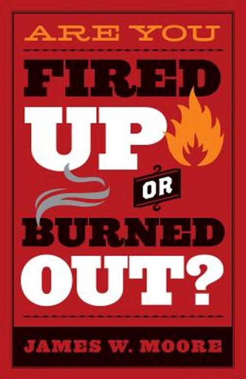 Book cover of Are You Fired Up or Burned Out?