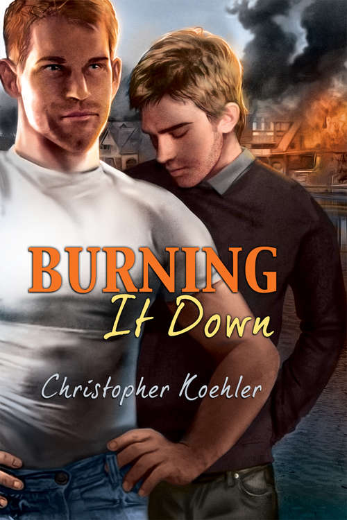 Book cover of Burning It Down