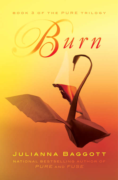 Book cover of Burn (Pure Trilogy #3)