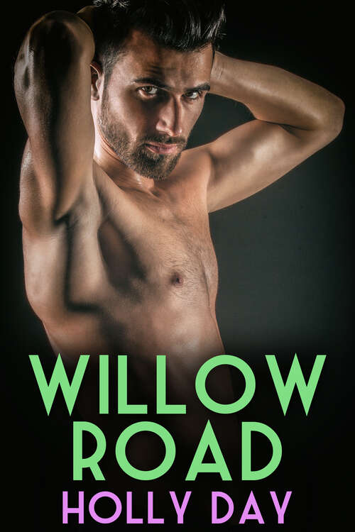Book cover of Willow Road