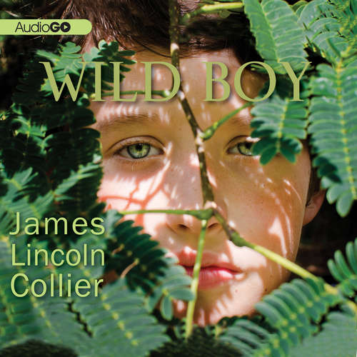 Book cover of Wild Boy