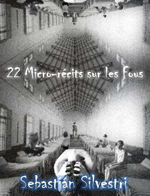 Book cover of 22 Micro-récits sur les Fous