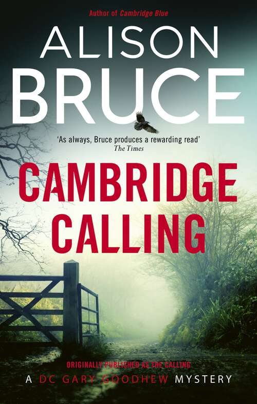 Book cover of The Calling: Book 2 of the Darkness Rising Series