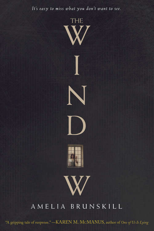 Book cover of The Window