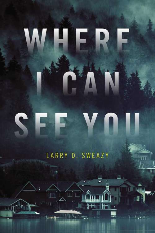 Book cover of Where I Can See You