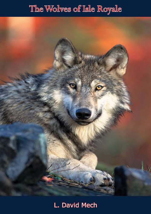 The Wolves of Isle Royale