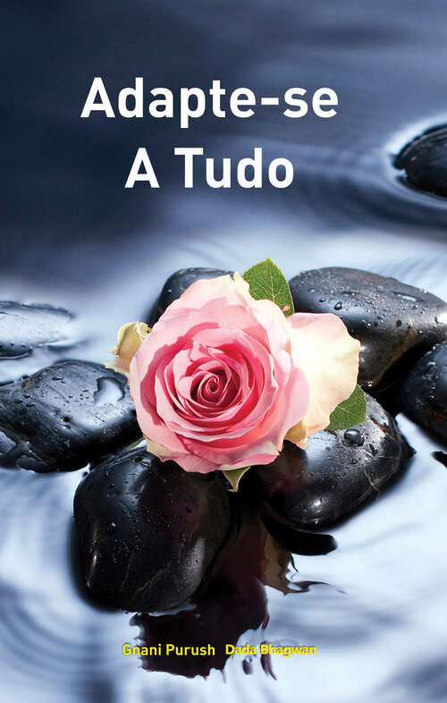 Book cover of Adapte-se A Tudo
