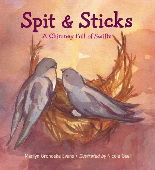 Book cover of Spit & Sticks: A Chimney Full of Swifts